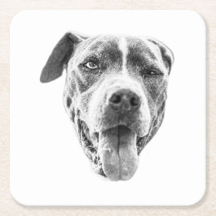 Chilly Dusk Canine Echo Square Paper Coaster
