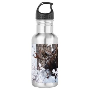 Chilly Moose 532 Ml Water Bottle