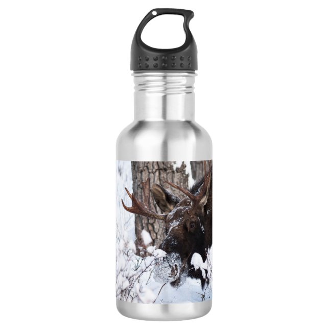 Chilly Moose 532 Ml Water Bottle (Front)