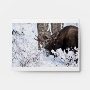 Chilly Moose Envelope