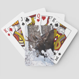 Chilly Moose Playing Cards