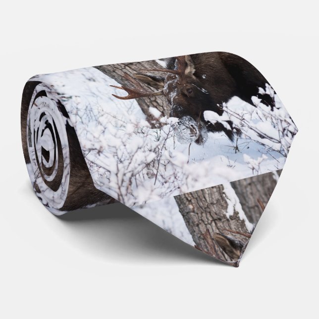 Chilly Moose Tie (Rolled)