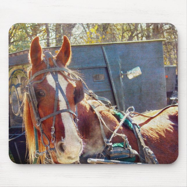 Chilly Morning Amish Horse Mouse Pad (Front)
