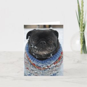 Chilly Pug Note Card - blank