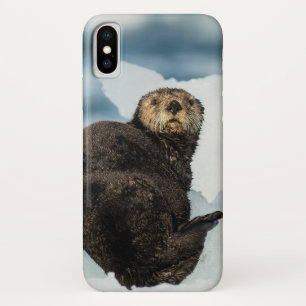 Chilly Sea Otter iPhone X Case