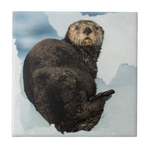 Chilly Sea Otter Ceramic Tile