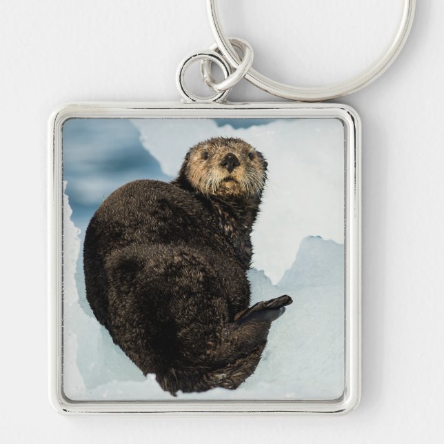 Chilly Sea Otter Key Ring (Front)