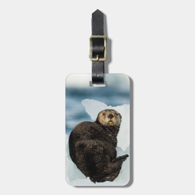 Chilly Sea Otter Luggage Tag (Front Vertical)