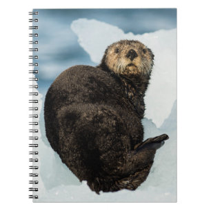 Chilly Sea Otter Notebook