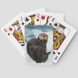 Chilly Sea Otter Playing Cards