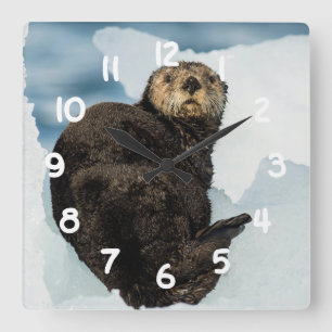 Chilly Sea Otter Square Wall Clock
