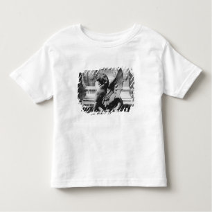 Chimaera from the St. Michel fountain, Paris Toddler T-Shirt