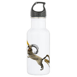 Chimera 532 Ml Water Bottle