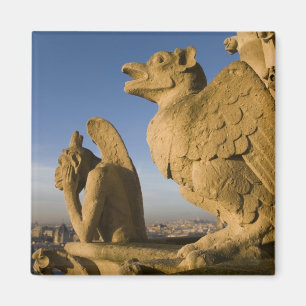 Chimera on facade of Notre Dame Cathedral, Magnet