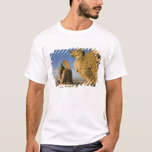 Chimera on facade of Notre Dame Cathedral, T-Shirt