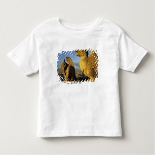 Chimera, re Dame Cathedral, Paris, France Toddler T-Shirt