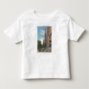 Chimney Rock on Cody Highway, Montana View Toddler T-Shirt