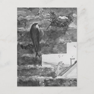 Chimney Swift and Nest Postcard