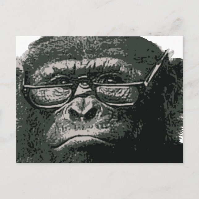 Chimp Reading Postcard (Front)