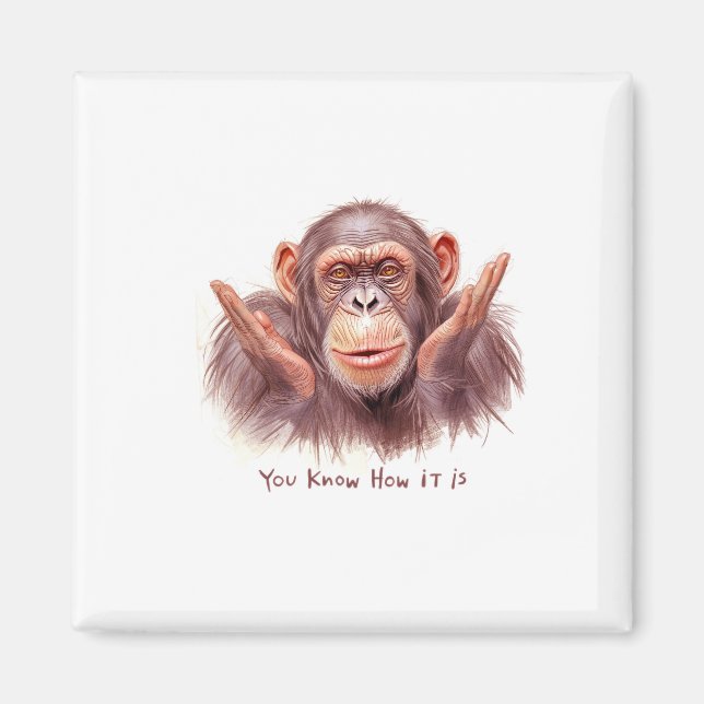 Chimp Telling You :"You Know How It Is" Magnet (Front)