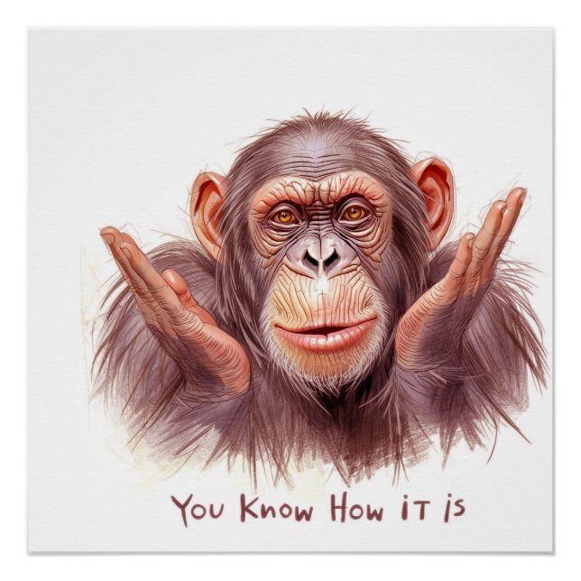 Chimp Telling You :"You Know How It Is" Poster (Front)
