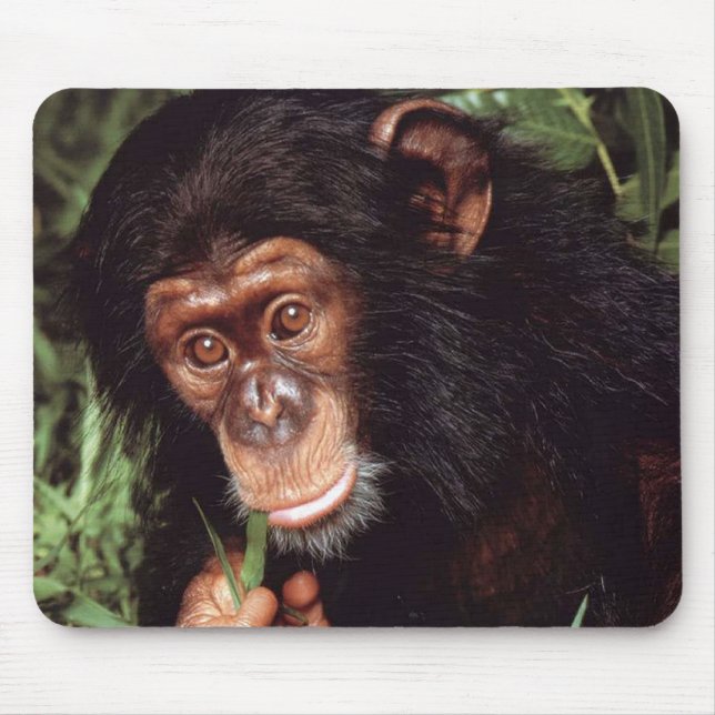 Chimpansee Mouse Pad (Front)