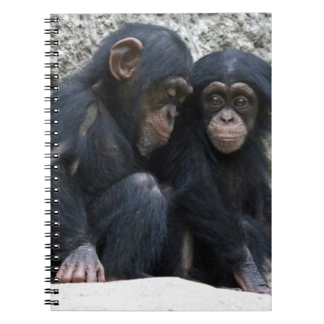 Chimpanzee002 Notebook (Front)
