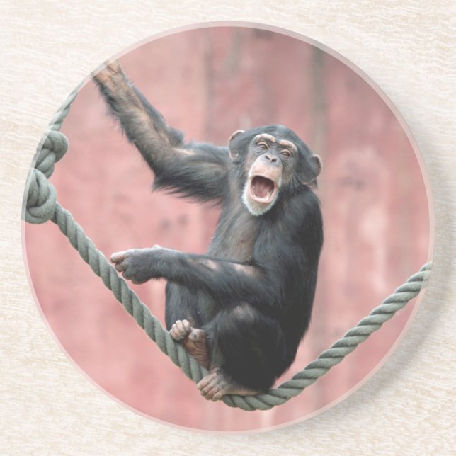 Chimpanzee 001 coaster (Front)