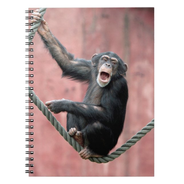Chimpanzee 001 notebook (Front)