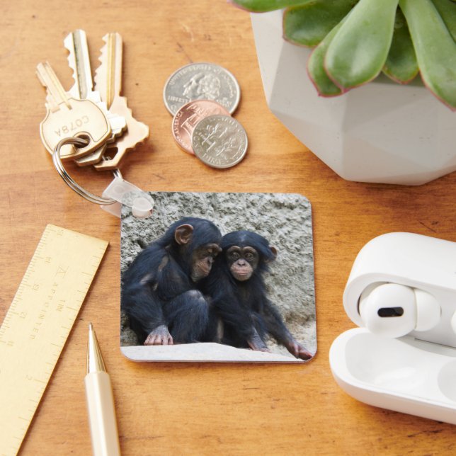 Chimpanzee 002 key ring (Desk)