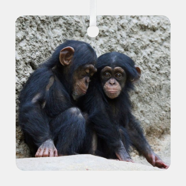 Chimpanzee 002 metal tree decoration (Front)