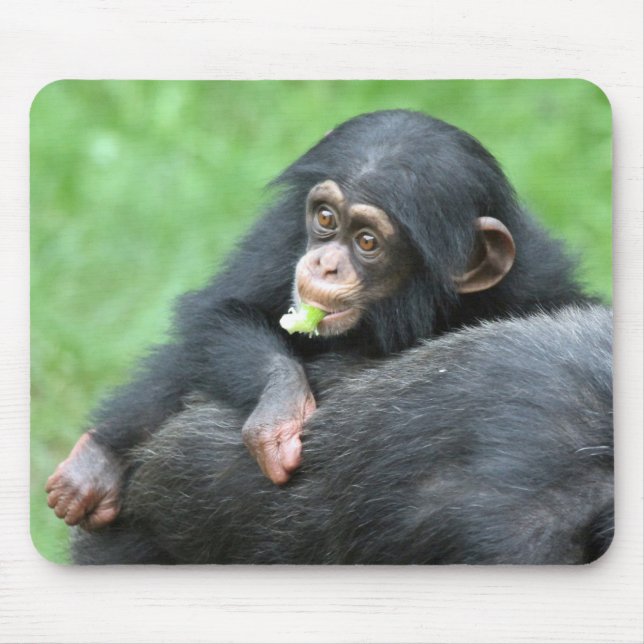 Chimpanzee 005 mouse pad (Front)