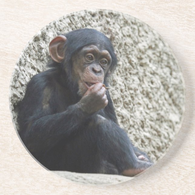 Chimpanzee 013 coaster (Front)