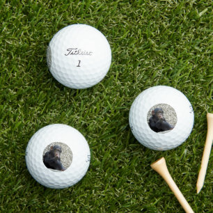 Chimpanzee 013 golf balls