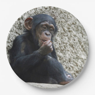 Chimpanzee 013 paper plate