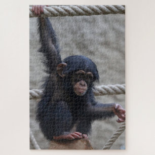 Chimpanzee 017 jigsaw puzzle
