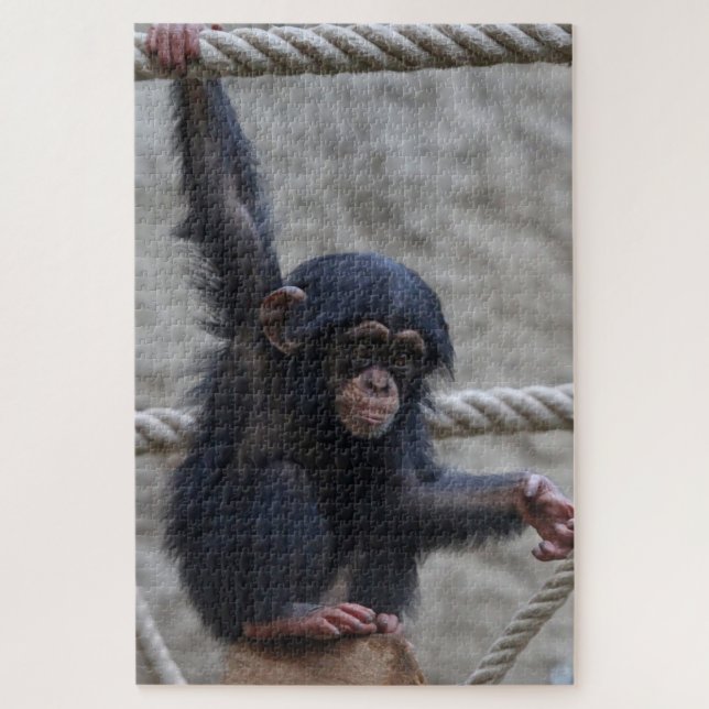 Chimpanzee 017 jigsaw puzzle (Vertical)