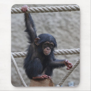 Chimpanzee 017 mouse pad