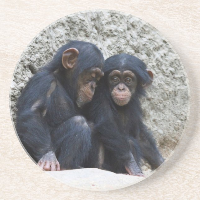 Chimpanzee 022 coaster (Front)