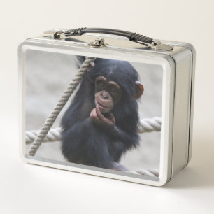 Chimpanzee 030 metal lunch box