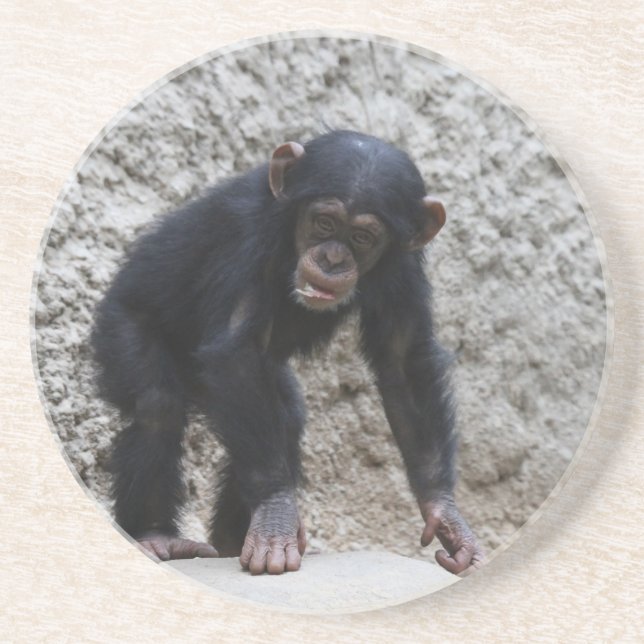 Chimpanzee 031 coaster (Front)