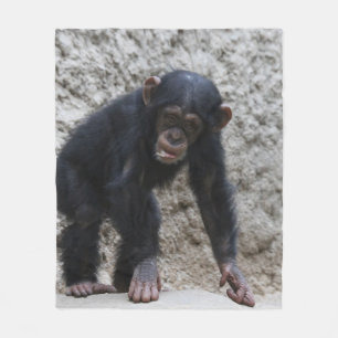 Chimpanzee 031 fleece blanket