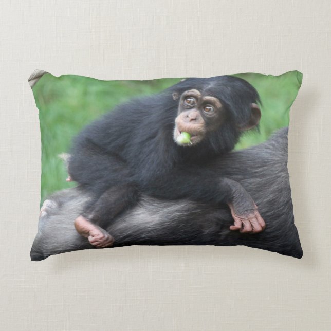 Chimpanzee 032 decorative cushion (Front)