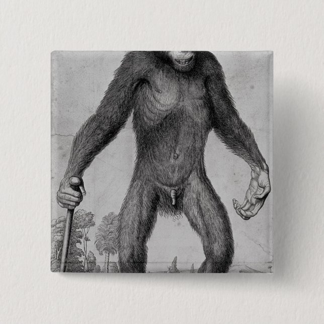 Chimpanzee, 1699 15 cm square badge (Front)