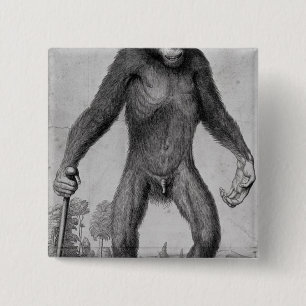 Chimpanzee, 1699 15 cm square badge