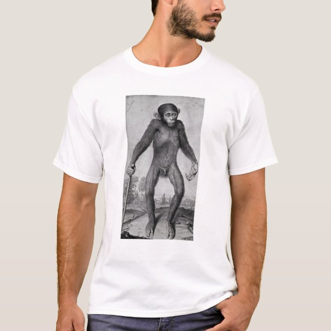 Chimpanzee, 1699 T-Shirt (Front)