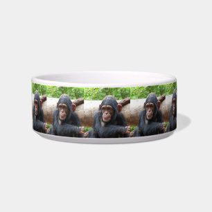 Chimpanzee_2015_0504 Bowl