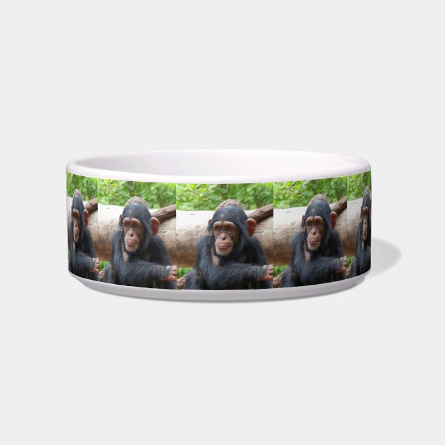 Chimpanzee_2015_0504 Bowl (Left)