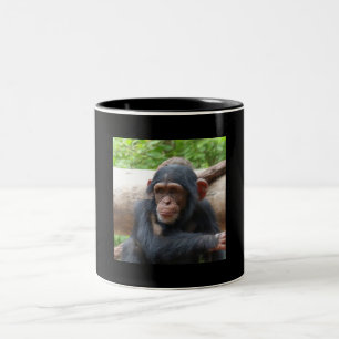 Chimpanzee_2015_0504 Two-Tone Coffee Mug