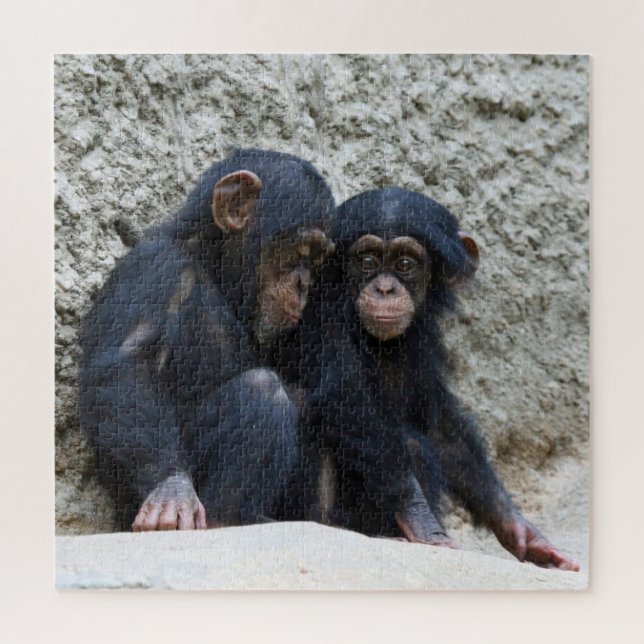 Chimpanzee 2020-03-01 jigsaw puzzle (Vertical)